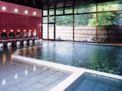 ניקו Kinugawa Royal Hotel מראה חיצוני תמונה